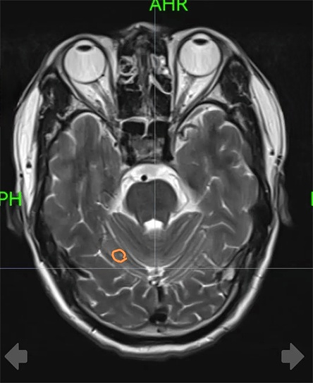 b98b271a771686de4a6406f669155866_1715755055_8391.png