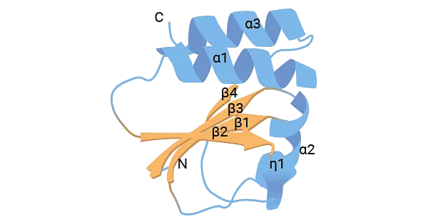 e95663effaf481ab4656752f02d5af05_1720077354_663.png